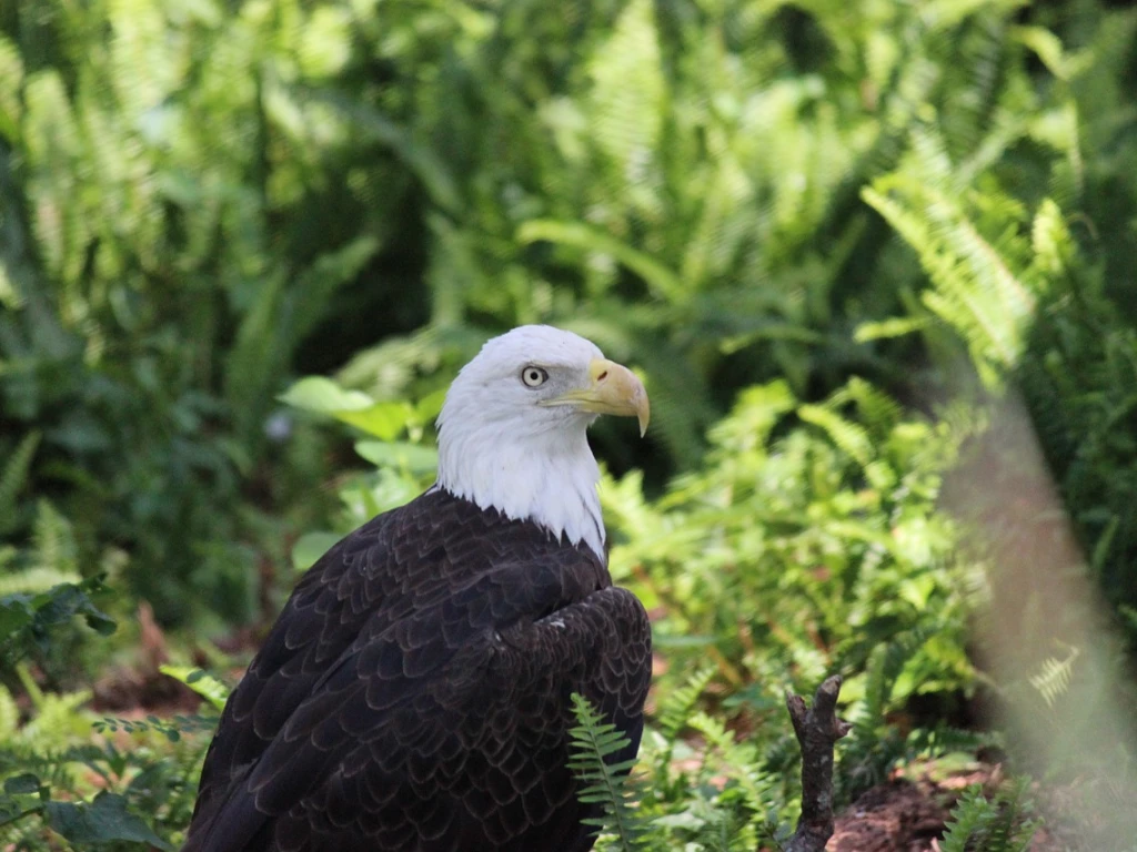 Woliński Park Narodowy